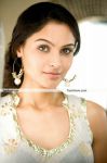 Andrea Jeremiah Photos 2