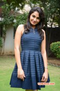 New Pics Andrea Jeremiah Indian Actress 1089