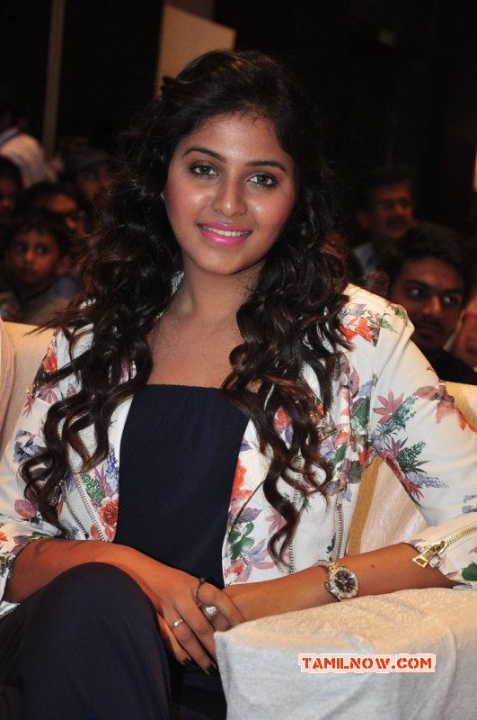 2015 Images Film Actress Anjali 5244