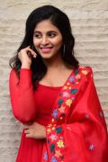 2021 Albums Film Actress Anjali 4989