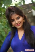 Actress Anjali 7057