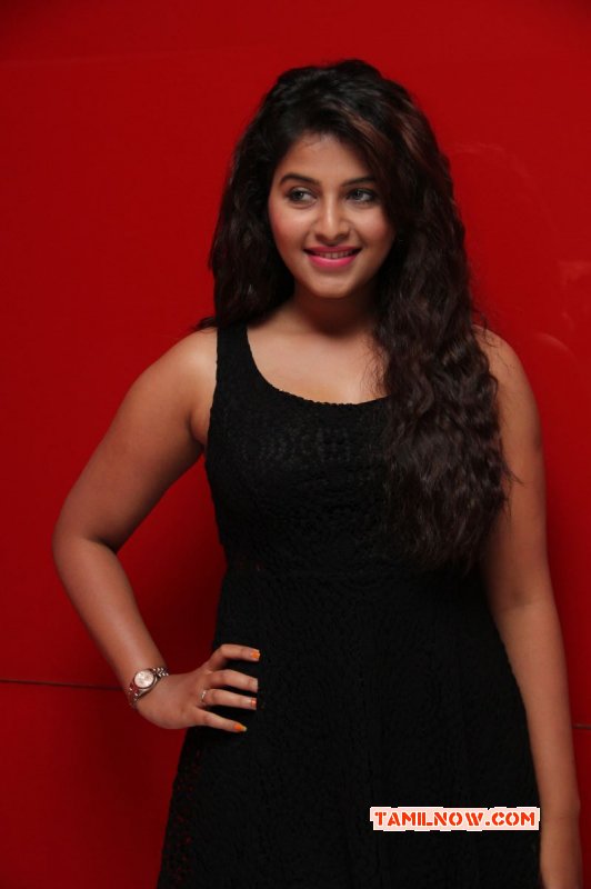 Tamil Actress Anjali 2014 Still 8858