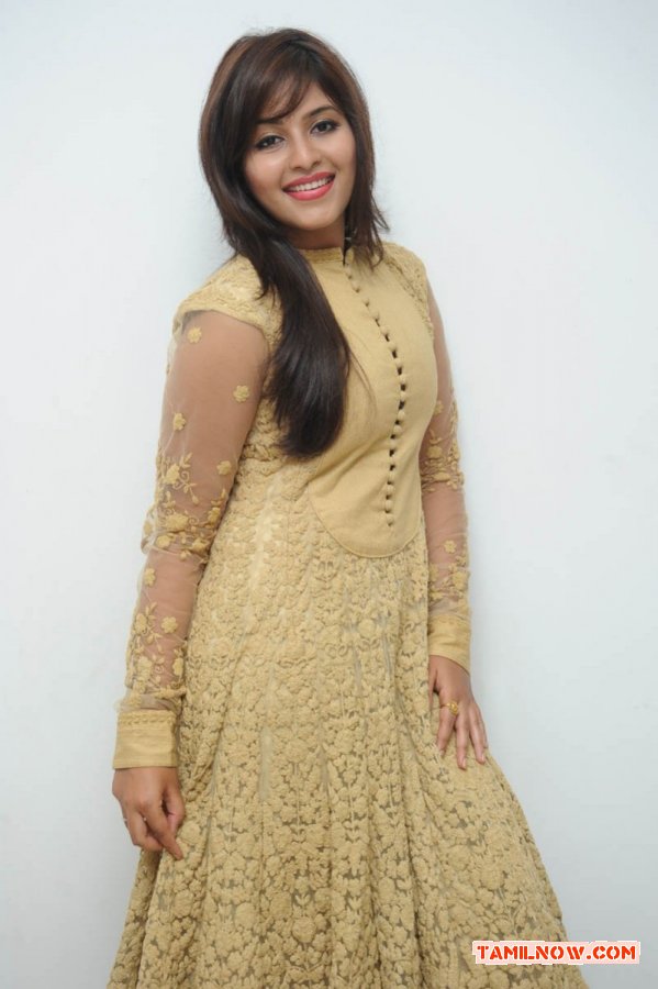 Tamil Actress Anjali 379