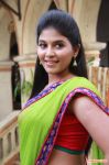 Tamil Actress Anjali 5409