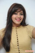 Tamil Actress Anjali 842