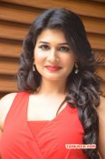 Anjena Kirti Indian Actress Recent Gallery 3239