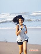 Ankita Shrivastav Cinema Actress Latest Galleries 9477