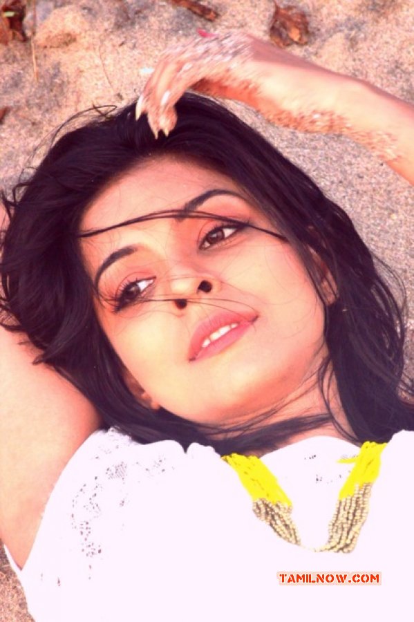 Cinema Actress Ankita Shrivastav New Pictures 3440