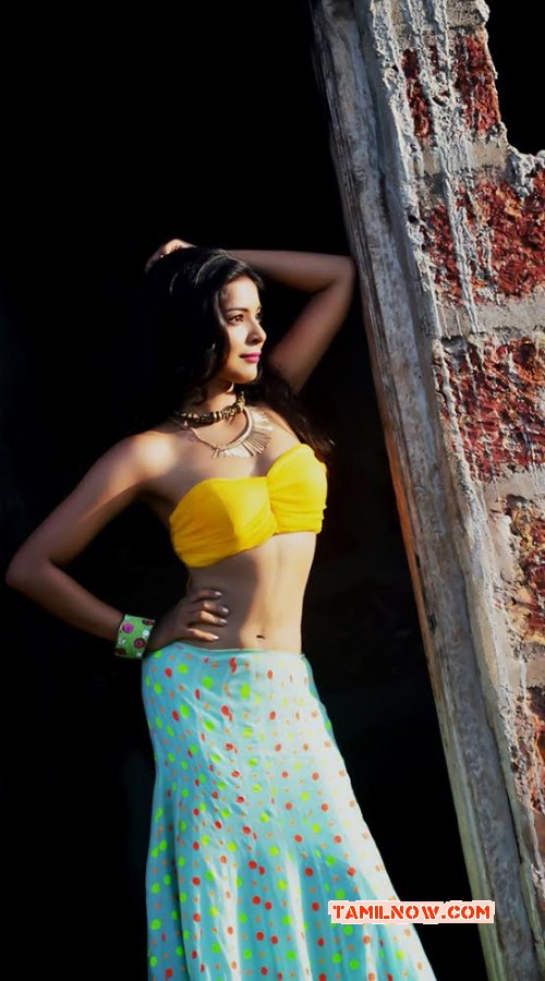 Tamil Actress Ankita Shrivastav Photo 6922