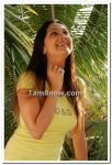 Ankitha Stills 1