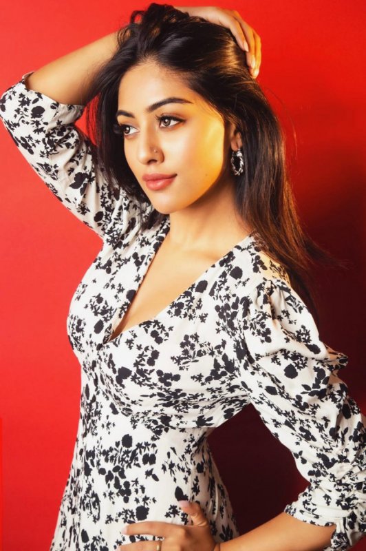 Recent Galleries Indian Actress Anu Emmanuel 5006