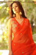 Tamil Actress Anu Emmanuel Recent Images 8009