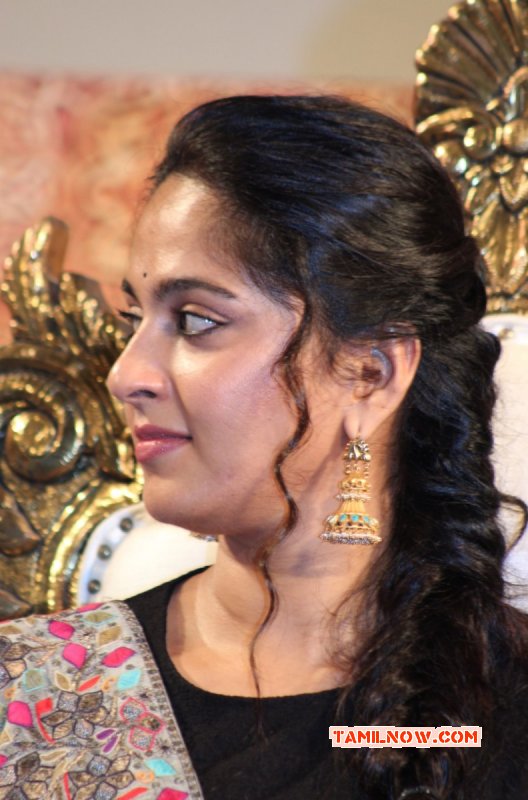 2014 Stills Anushka Movie Actress 583