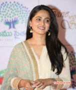 Latest Image Anushka Heroine 9404