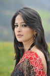 Tamil Actress Anushka 3497