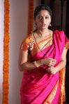 Tamil Actress Anushka Photos 9977