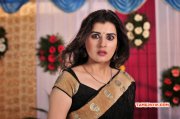 2014 Images Tamil Movie Actress Archana Veda 1604