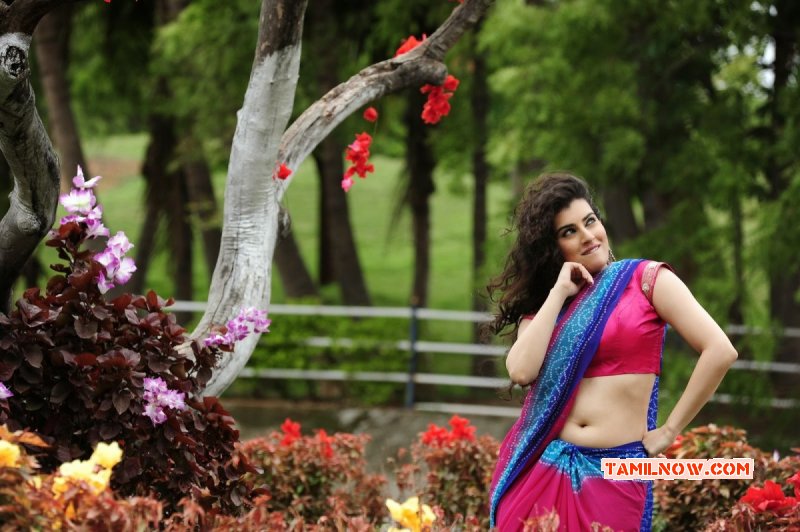 2014 Pics Cinema Actress Archana Veda 9180