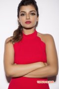 Latest Galleries Tamil Movie Actress Ashna Zaveri 4970