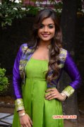 Tamil Heroine Ashna Zaveri Recent Albums 6792