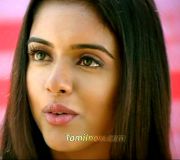 Asin Photo6