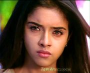 Tamil Actress Asin