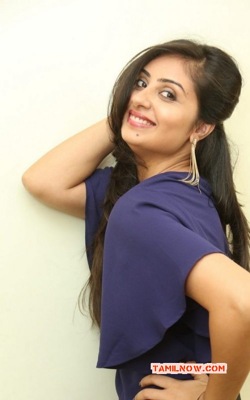 Images South Actress Bhanu Sri Mehra 9482
