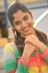 Tamil Actress Bhanu Photos 5978