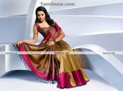 Actress Bhavana In Saree 2