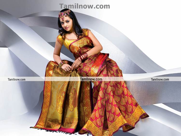 Actress Bhavana In Saree 8