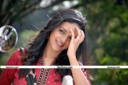 Actress Bhavana New Stills 04