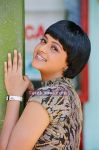 Bhavana Exclusive Photos 12