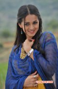 Feb 2015 Wallpaper Bhavana Heroine 6253