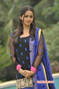 Tamil Movie Actress Bhavana Images 6393