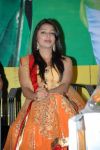 Actress Bhumika Chawla 3868