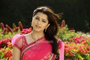 Tamil Actress Bhumika Chawla Photos 4071