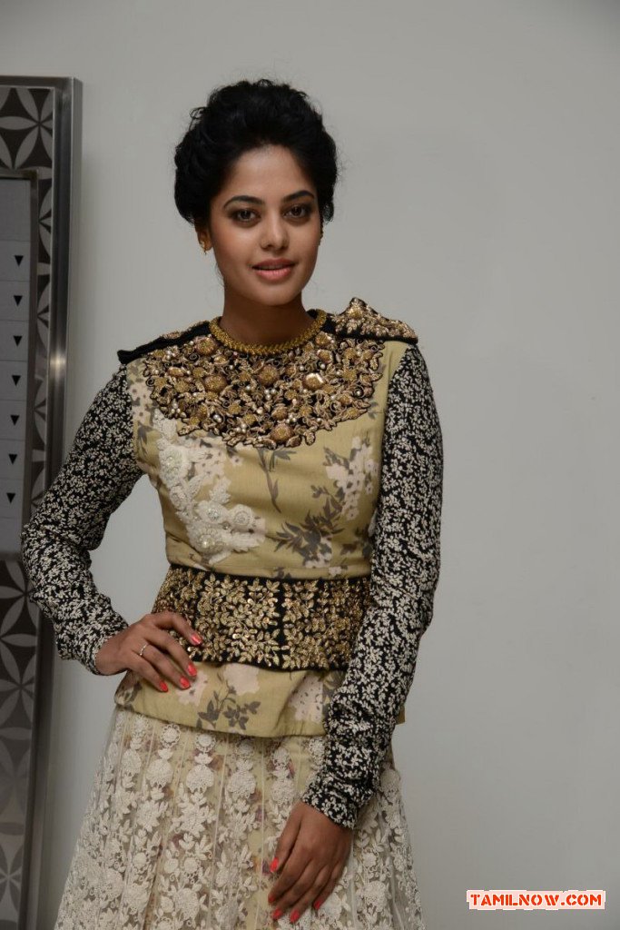 Actress Bindhu Madhavi Photos 3366