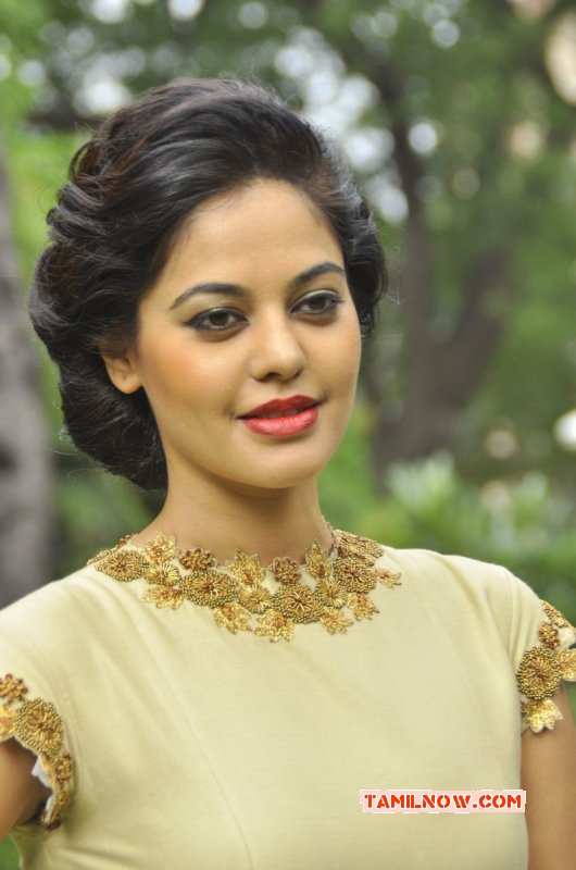 Bindhu Madhavi Actress 2014 Wallpapers 8976