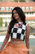 Heroine Bindhu Madhavi 2015 Pictures 2034