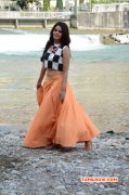 Indian Actress Bindhu Madhavi Latest Album 5414