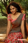 Jul 2016 Images Indian Actress Bindhu Madhavi 9490