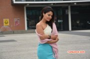 New Pics Tamil Actress Bindhu Madhavi 7411