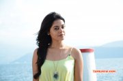 Recent Photo Cinema Actress Bindhu Madhavi 7264