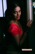 South Actress Bindhu Madhavi New Image 5611
