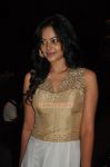 Actress Bindhu Madhavi 3274