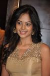 Actress Bindhu Madhavi Stills 2945