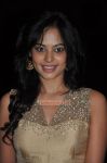 Bindhu Madhavi Stills 3524