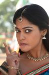 Bindu Madhavi 2880