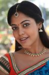 Bindu Madhavi 6477