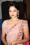 Bindu Madhavi Stills 3040